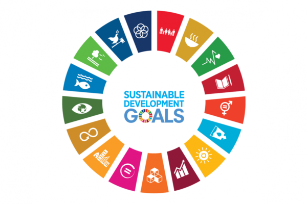 sustainability development goals