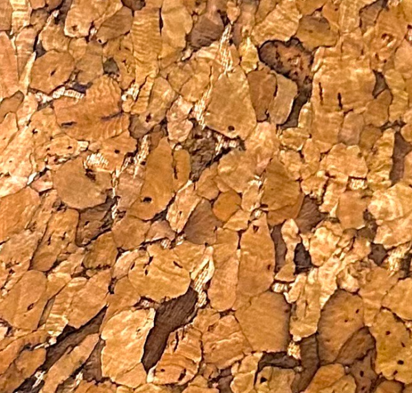 Cork-based leather Swatch